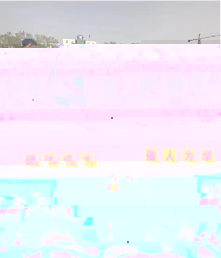 66531